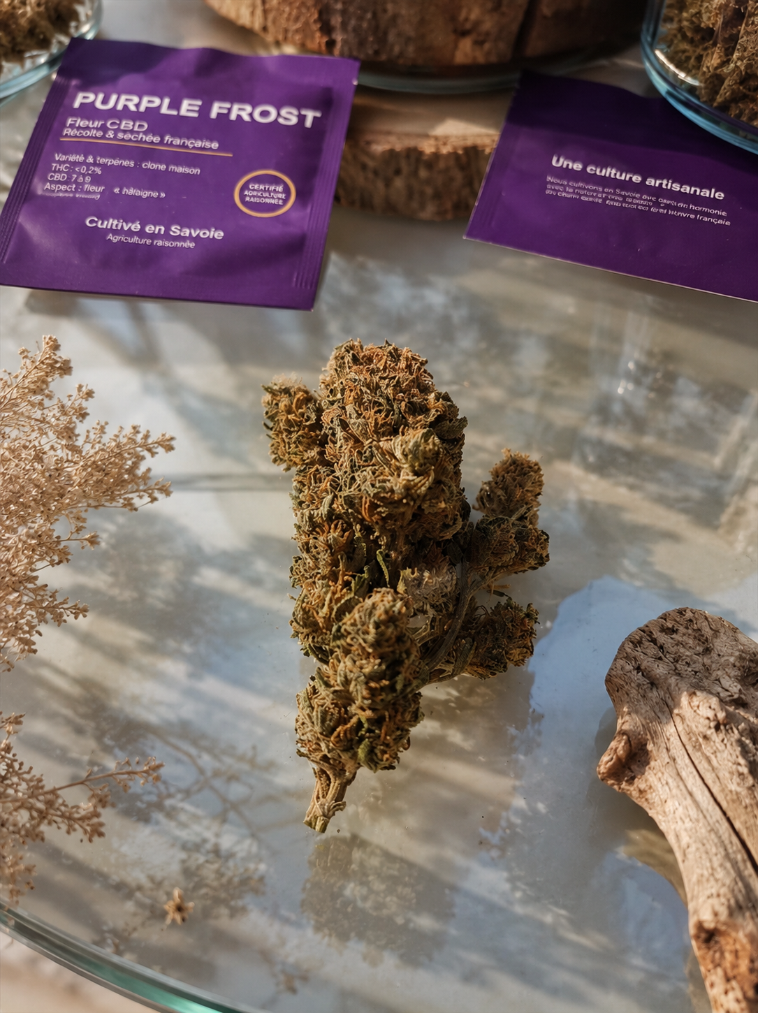 Purple Frost